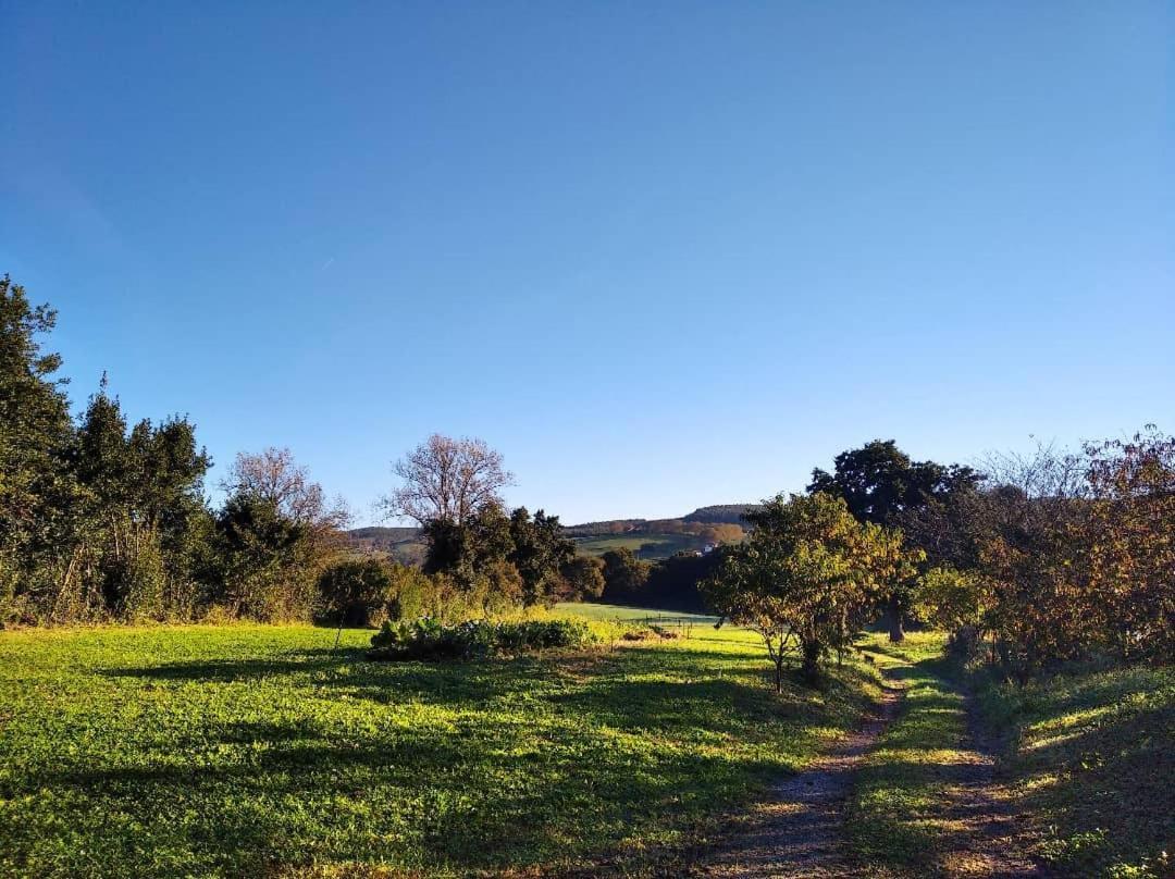 Albergue Casa Vacas Carriazo エクステリア 写真